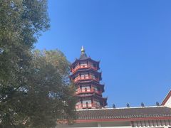 -绳金塔