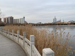 -莲花池公园