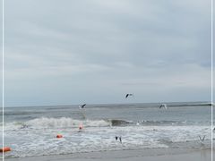-北戴河东海水浴场