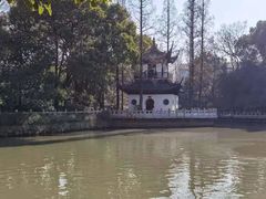-汇龙潭