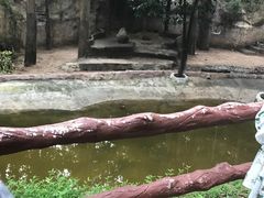 -清迈夜间动物园