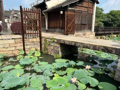 -乌镇西栅景区