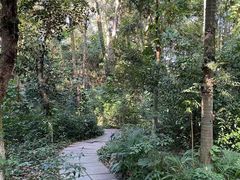 -广西壮族自治区药用植物园