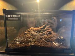 -太平洋海底世界