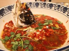 湘潭九龙鱼头-湘潭九龙鱼头店(城南西路店)