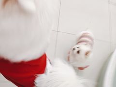 -怪兽屋·羊驼·猫咖·狗咖(俊华广场店)