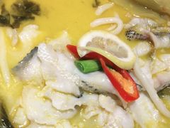 -丰收日(五角场店)
