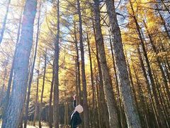 -塞罕坝国家级自然保护区