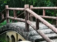 -大屏嶂森林公园