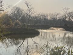 -木守西溪溪隐餐厅