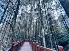 -山王坪喀斯特国家生态公园