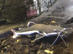 -古龙峡云天玻霸