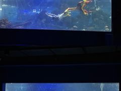 -重庆欢乐海底世界