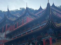-东莞市大岭山森林公园