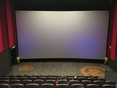 -上影国际影城(普陀绿地缤纷城店)