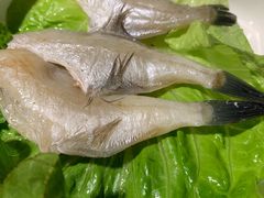 冰衣耗儿鱼-锅说大脸毛肚重庆老火锅(佐阾店)