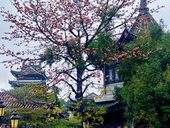 -广州西关永庆坊旅游区