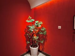 -湘轩·土菜研究院(光大店)