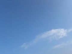 -碧海金沙