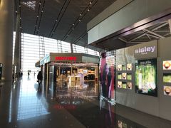 -日上免税店(三径路t3店)