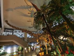 -甘肃地质博物馆