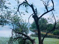 -西昌邛海宾馆