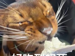 -太食獸泰式茶餐厅(济南万象城店)