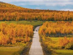 -塞罕坝国家级自然保护区