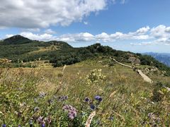 -白草畔自然风景区