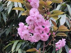 -贵阳市花溪国家城市湿地公园