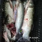 不用去超市菜场人流密集处 太感人了 感恩