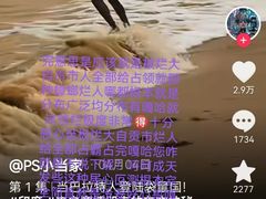 -约翰·菲茨杰拉德·肯尼迪国际机场