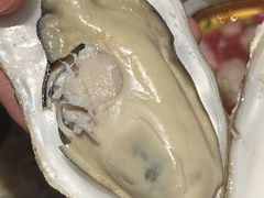 -火炉火自助餐(喜隆多店)