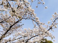-龙美术馆(西岸馆)