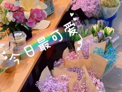 -溪岸路花鸟市场