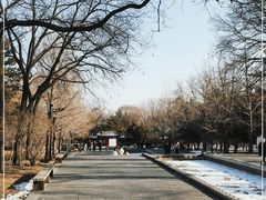 -晋祠公园