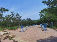 -大港湿地公园