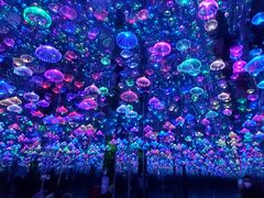 -梵高星空艺术馆(北京旗舰店)