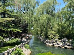 -百脉泉景区