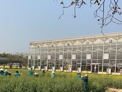 -盈香心动乐园