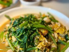 茼蒿鸡蛋炒贝丁-日丰园海肠水饺·老字号大连海鲜(银泰城店)