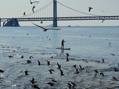 -星海广场