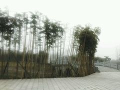 -灵山莲花公园-温泉度假区