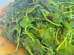 酒香草头-双塔老饭店