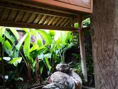 -和顺柏联温泉