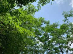 -宁波五龙潭景区