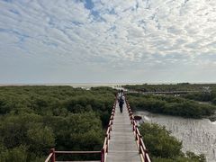 -北海金海湾红树林生态旅游区