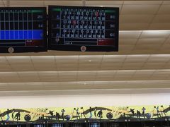 -广州保龄球馆(广州天河体育中心店)