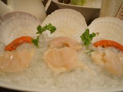 -四季火锅酒家(新濠影汇店)