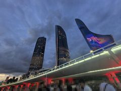 -演武大桥观景平台